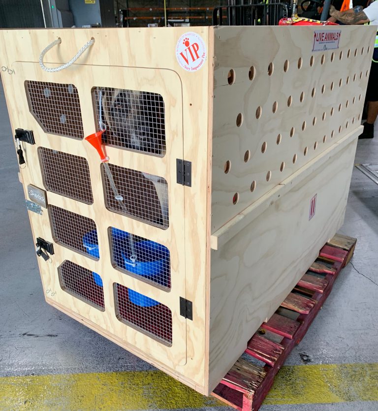 FLIGHT KENNELS World Wide Pet Transport